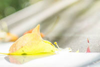 一齐登场！齐达内中国风亮相FC嘉年华，传奇卡重磅揭晓！